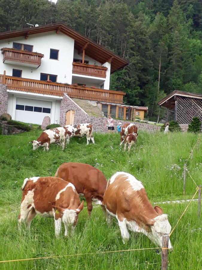 Polzhof