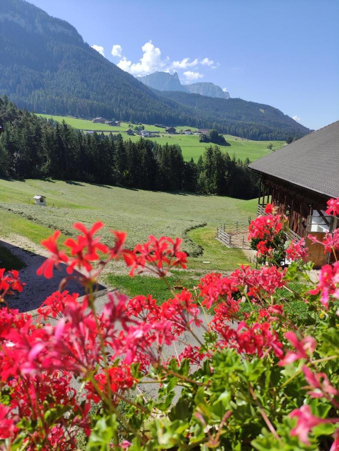 Polzhof Apartment Castelrotto